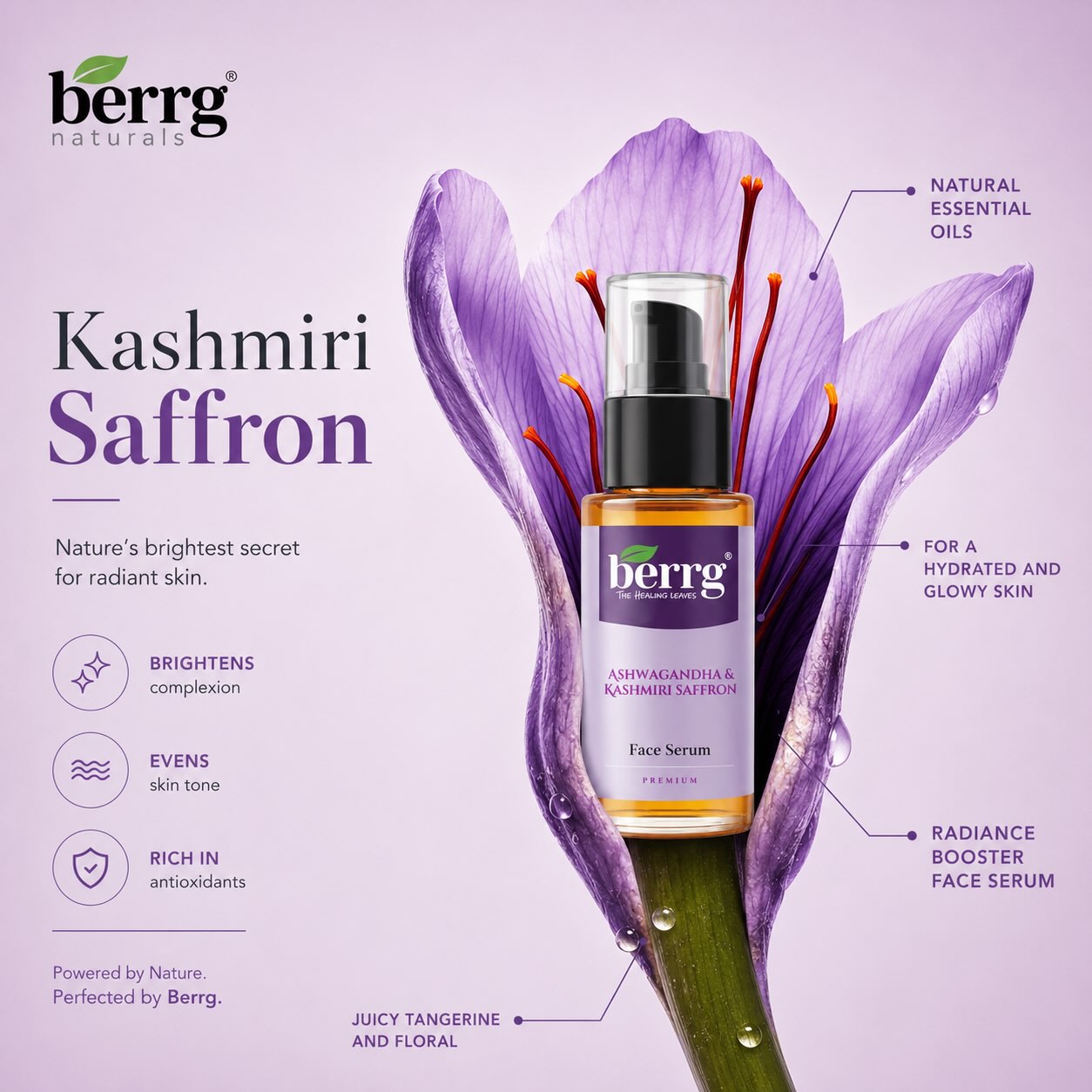 Kashmiri saffron flower with the Berrg Naturals face serum