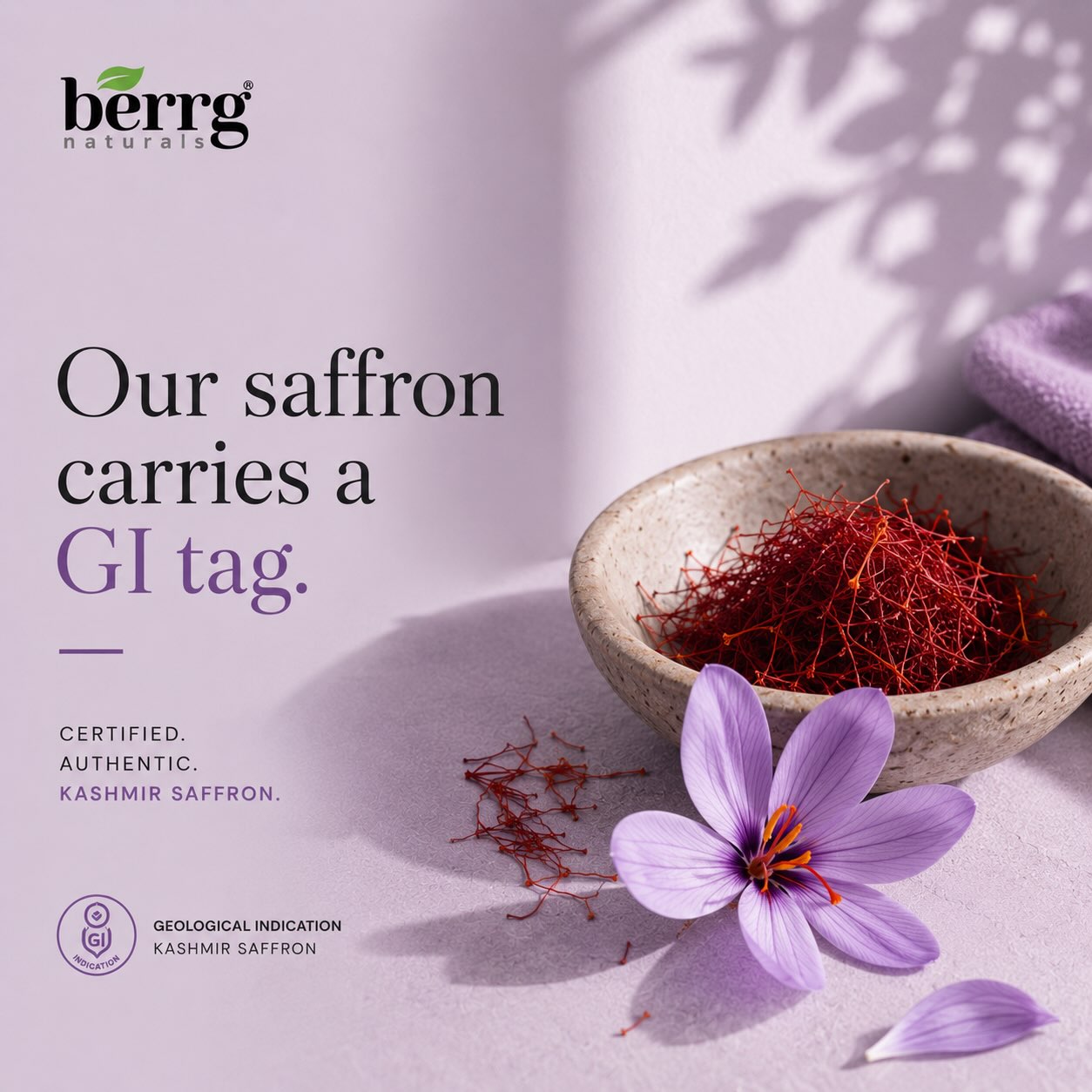 Kashmiri saffron threads with a crocus flower